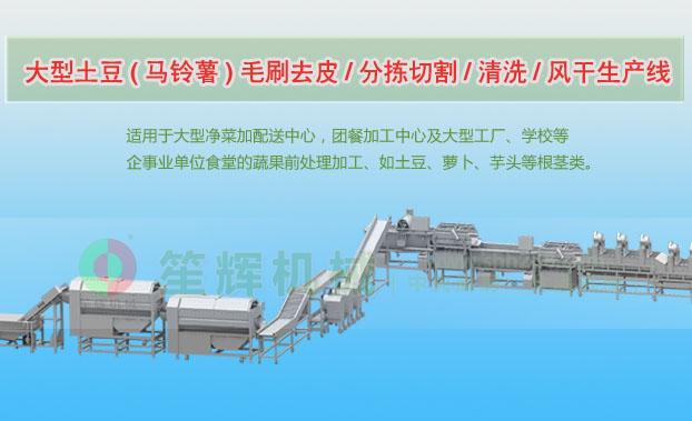 大方连续式土豆去皮清洗切割风干生产线